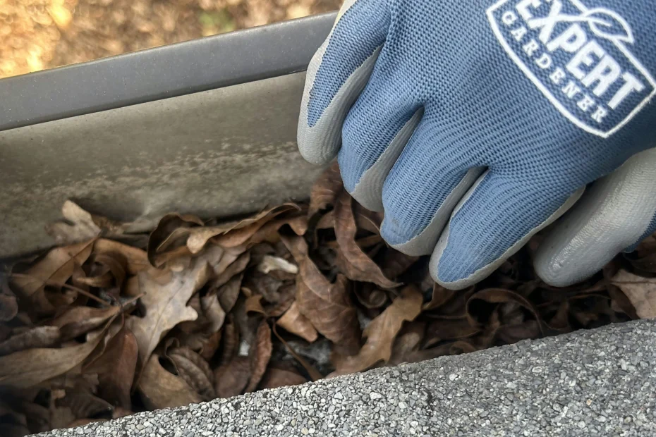 Gutter Cleaning Grayson